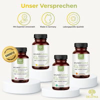 Delvina MundFlora Sortiment Übersicht alle Geschmacksrichtungen