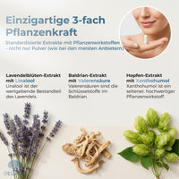 Delvina Tiefschlaf Inhaltsstoffe und Wirkstoffe